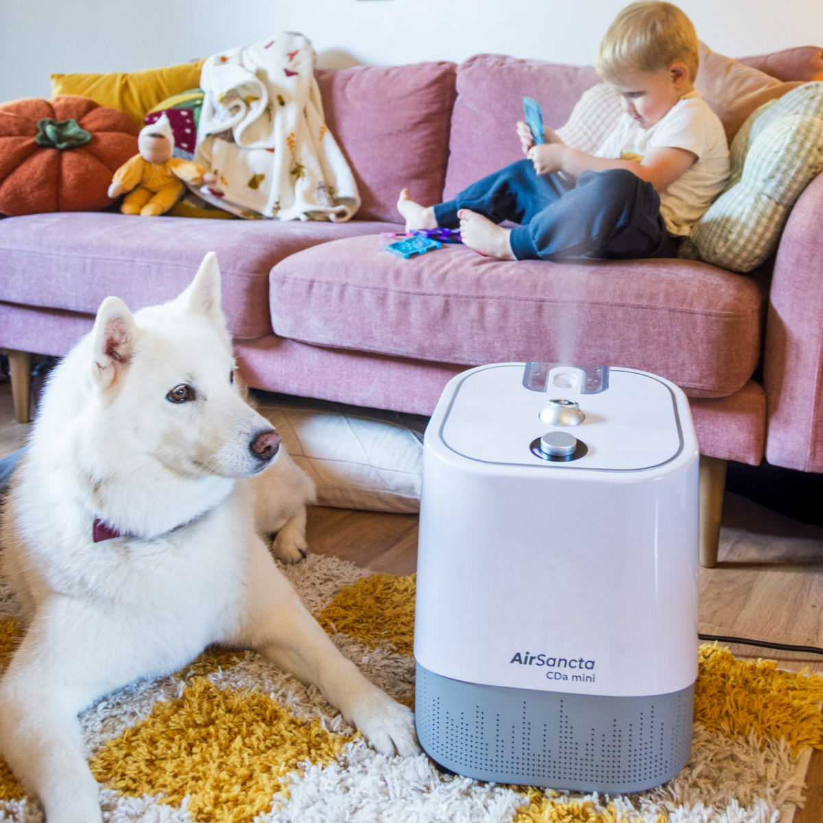 AirSancta® CDa Mini